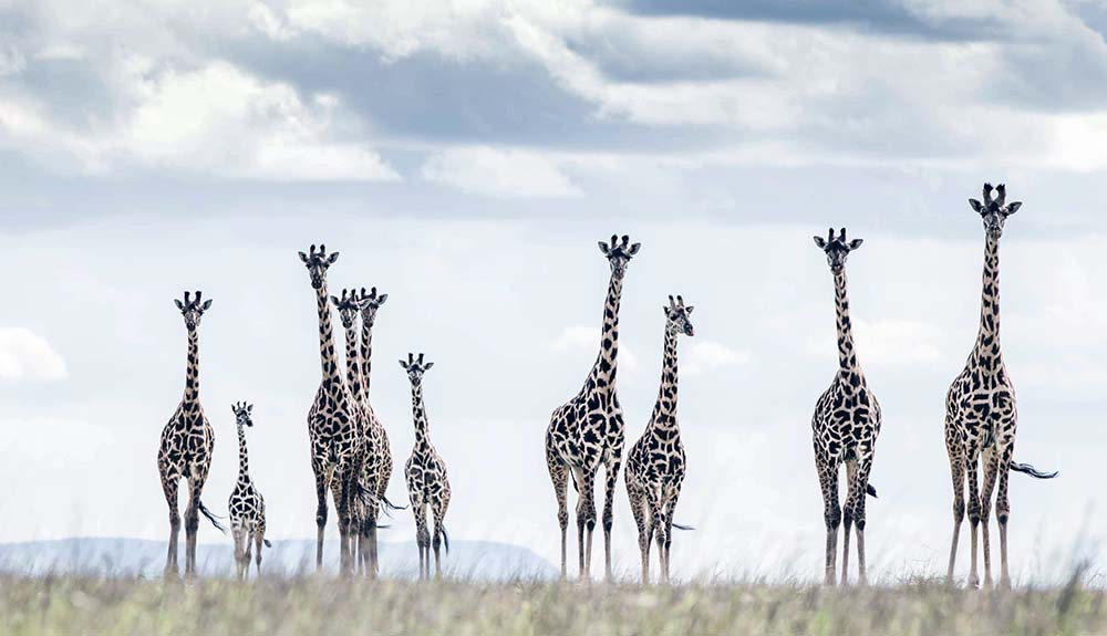 Slide #1 copy Slide background