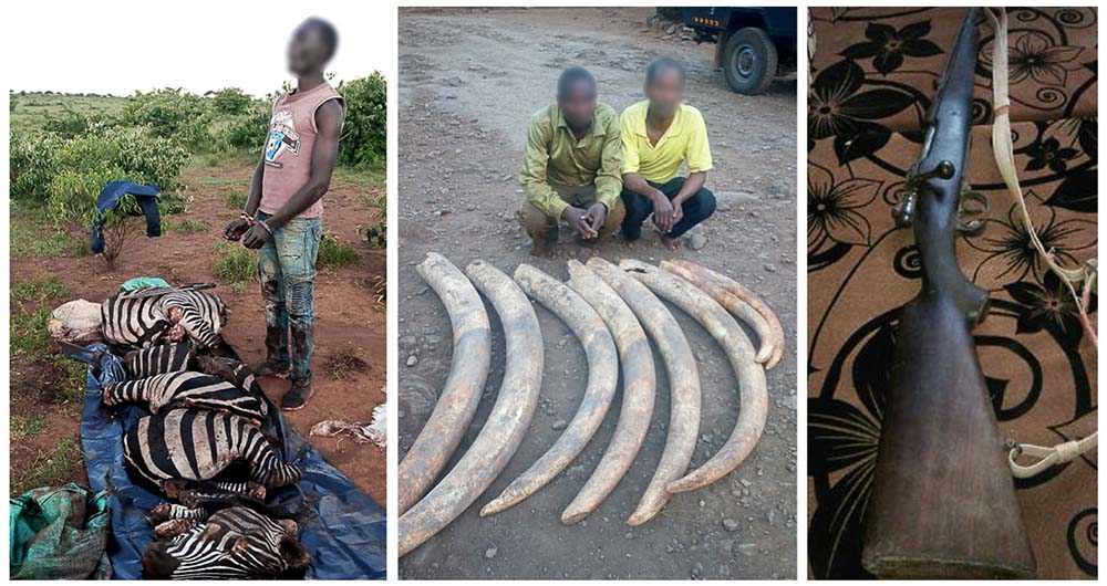 Slide #1 copy Slide background