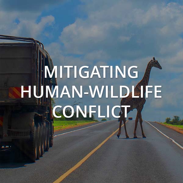 Mitigating Human-Wildlife Conflict