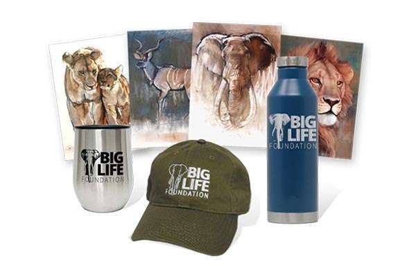 Shop to Support