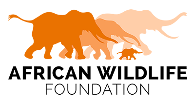 Logo-African Wildlife Foundation