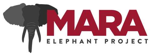 Logo-Mara Elephant Project