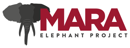 Mara Elephant Project Logo-Mara Elephant Project