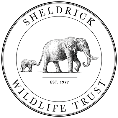 Logo-Sheldrick Wildlife Trust