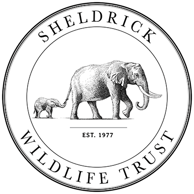 Sheldrick Wildlife Trust Logo-Sheldrick Wildlife Trust