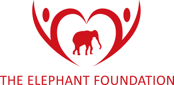 The Elephant Foundation Logo-The Elephant Foundation