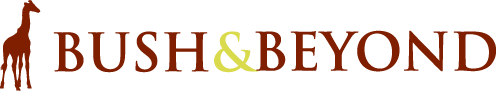 Bush & Beyond Logo-Bush & Beyond