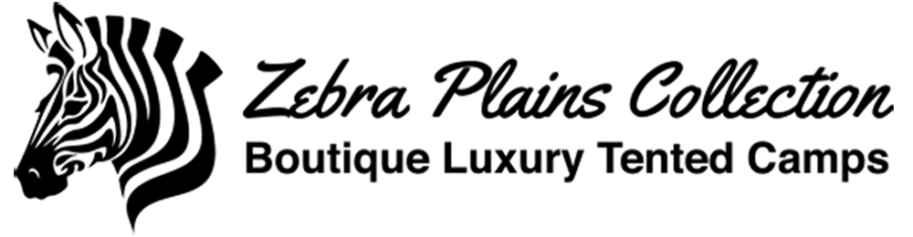 Zebra Plains Collection Logo-Zebra Plains Collection