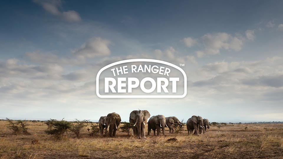 Part Time Rangers: Ranger Report