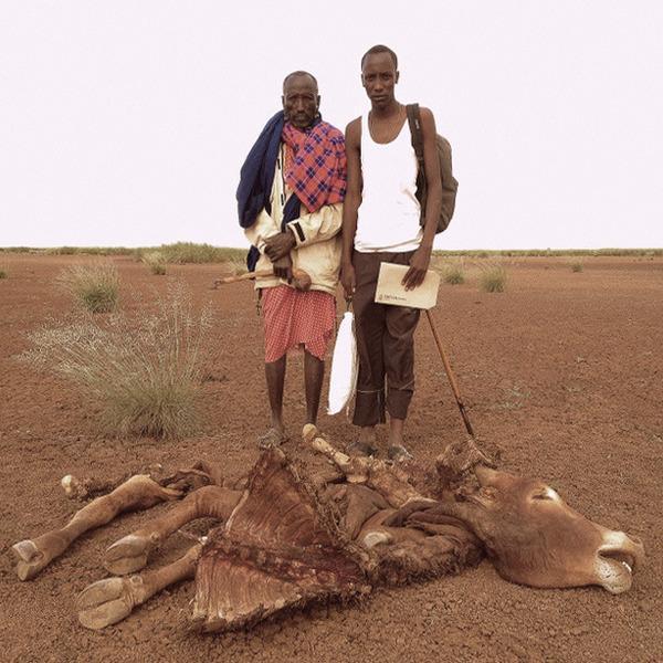 131026 1 1 Big Life Foundation Helping Keep the Lions of the Amboseli Ecosystem Alive