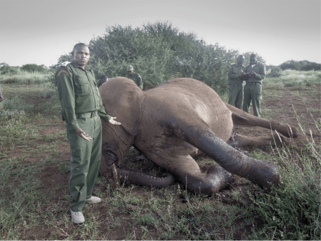 160611 1 4 Beyond Poaching