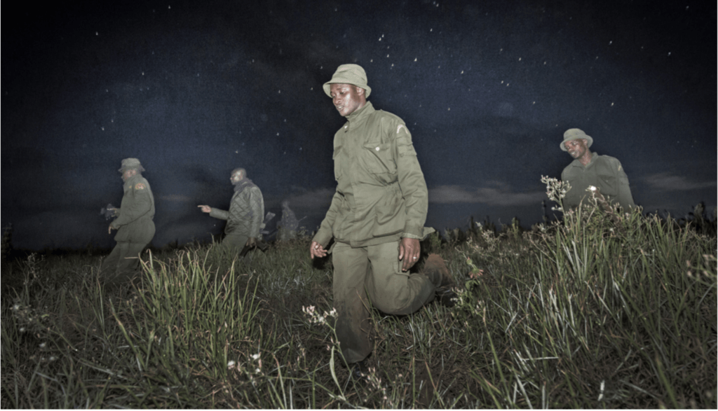 160611 1 6 Beyond Poaching