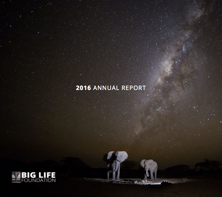 170421 1 1 Another Big Year