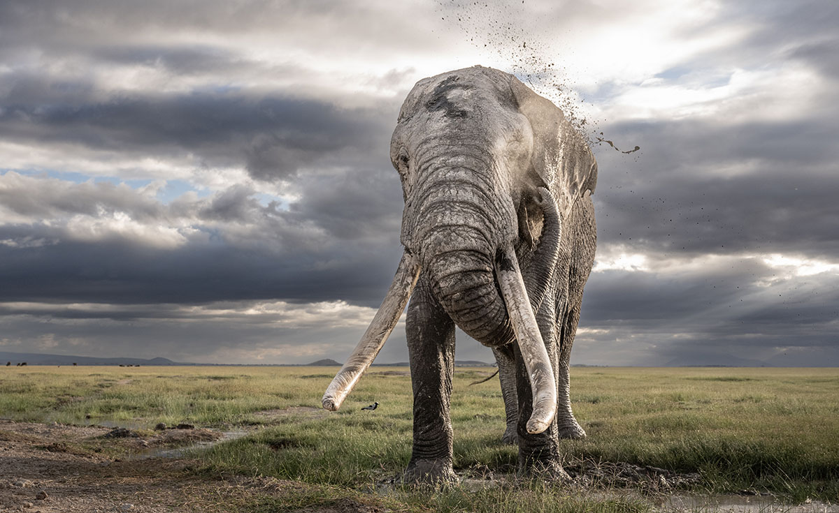 240206 Paolo James Lewin