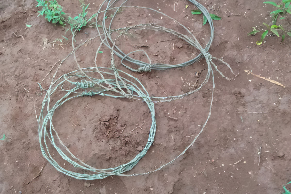 240513 snares landscape