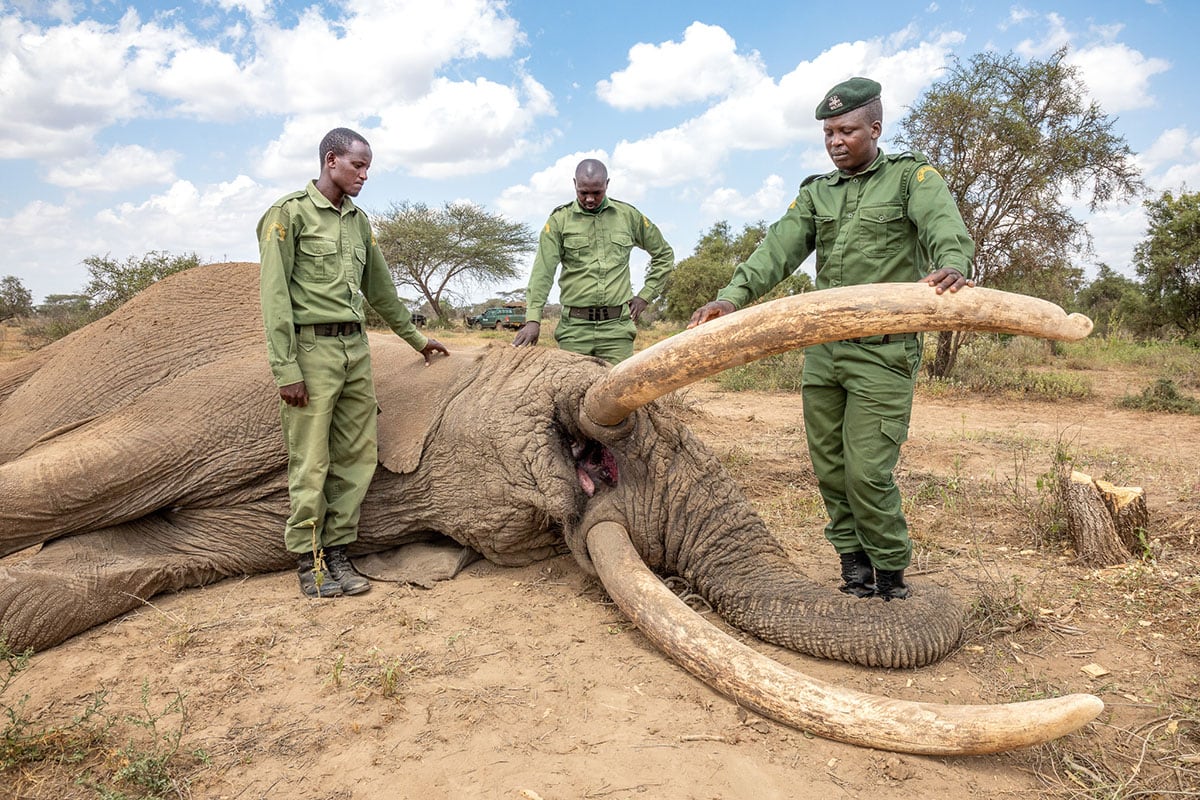 250204 Paolo at peace