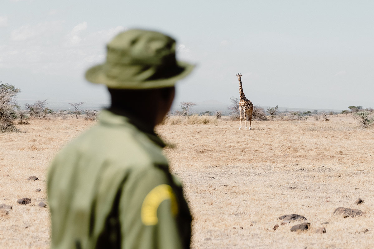 250718 PieAerts BigLife5