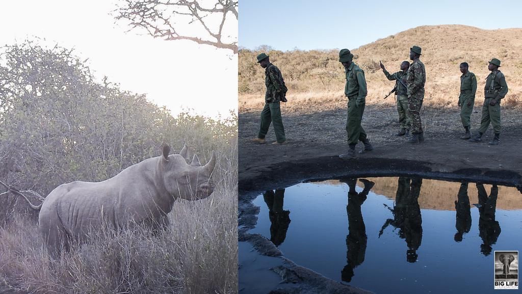 160921 1 1 Not Another Dodo