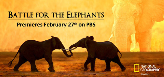 Big Life Foundation On Pbs, Wednesday Feb. 27