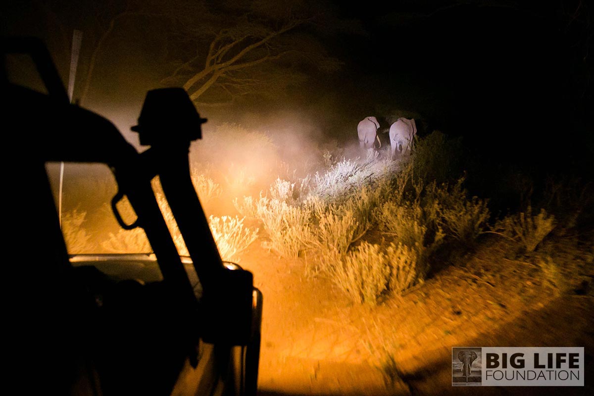 Human-Elephant Conflict Mitigation